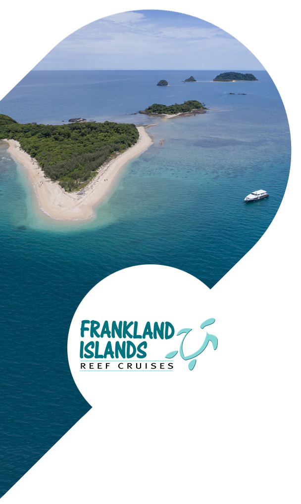 Frankland Islands Reef Cruises